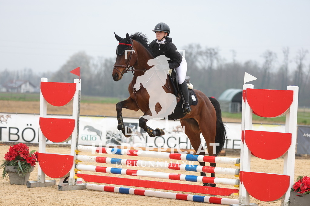 0P6A7391 | Willkommen bei Brunnmayr - Design & Fotografie – Ihrem Spezialisten für Reitturniere und Pferdeveranstaltungen in Oberösterreich, Salzburg und Bayern! Seit über 17 Jahren sind wir leidenschaftlich dabei.