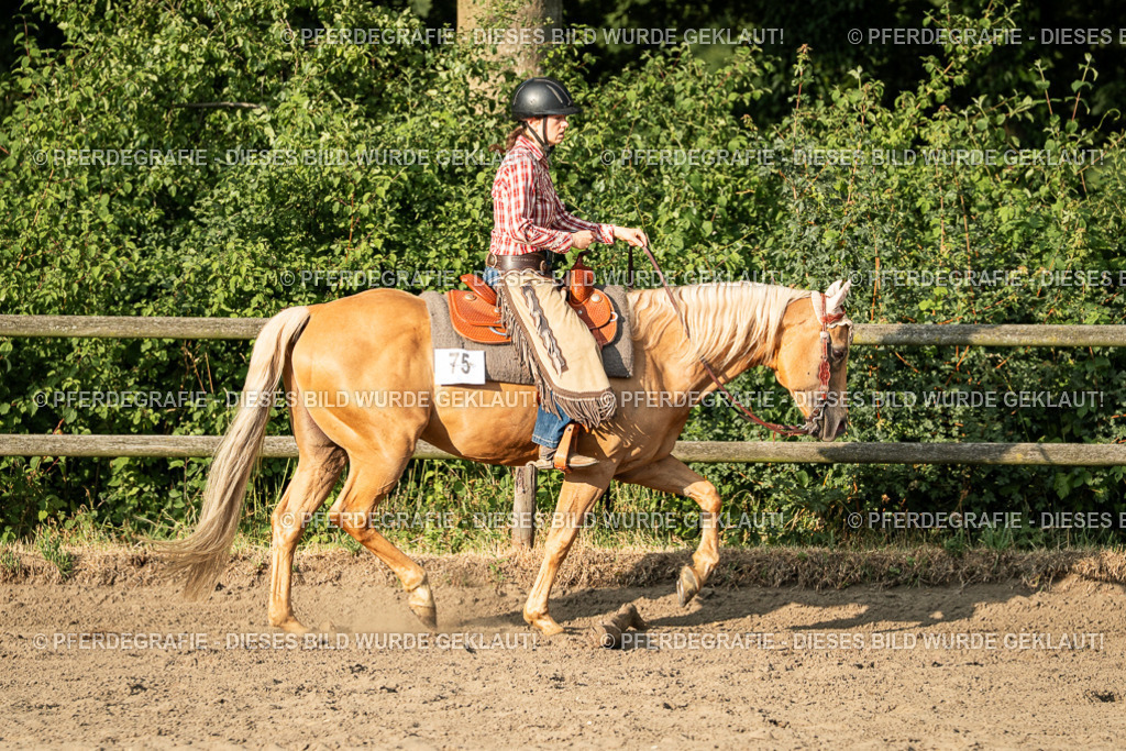 DSC06151 | Pferdegrafie