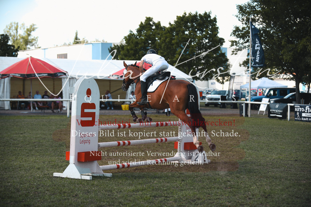 DSC_6904 | Pferde- und Turnierfotografie in Westsachsen. Pferdeportraits, Auftragszeichnungen und intuitive Kunst.