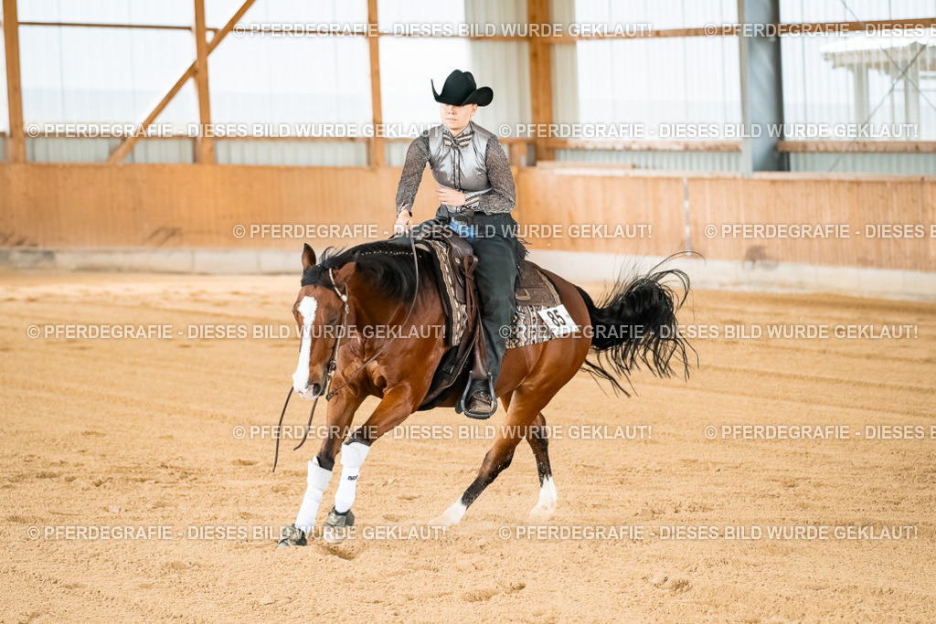 DSC02825 | Pferdegrafie