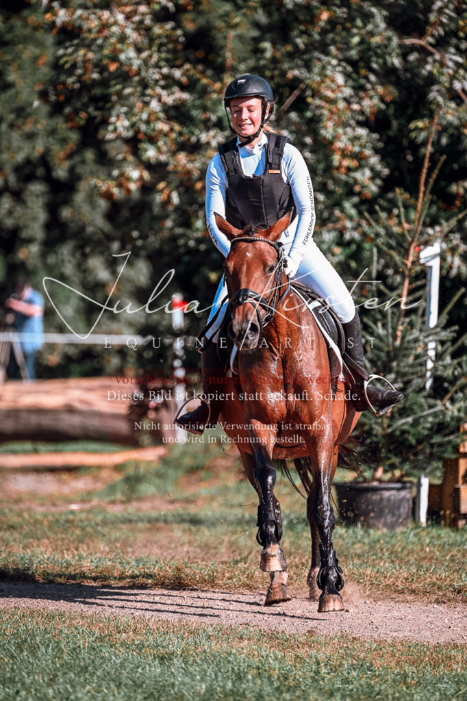 DSC_0690 | Pferde- und Turnierfotografie in Westsachsen. Pferdeportraits, Auftragszeichnungen und intuitive Kunst.
