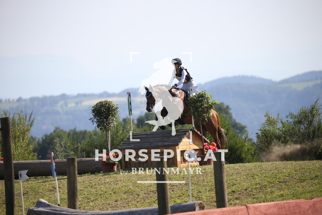 DL2Q2126 | Willkommen bei Brunnmayr - Design & Fotografie – Ihrem Spezialisten für Reitturniere und Pferdeveranstaltungen in Oberösterreich, Salzburg und Bayern! Seit über 17 Jahren sind wir leidenschaftlich dabei.