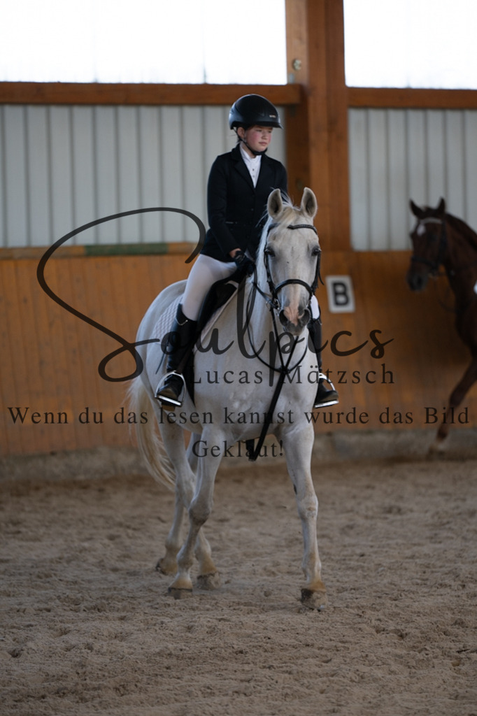 A7V02048 | Turnier/Reitfotograf