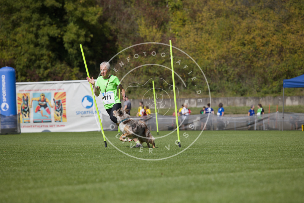 0L8A2701 | Hundefotografie, Tierfotograf, Pfotenfotografie, Fotoshooting Hund, Hunde Portrait, Hundesport, Hundeportraits, Heideshooting, Hunde, Sportfotograf, Hundefotograf, Turnierhundsport, THS,  - Realisiert mit Pictrs.com