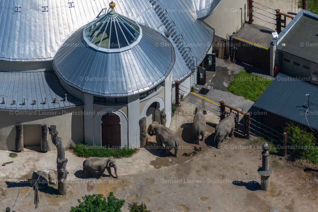 4031229 | MüNCHEN 12.06.2020 Zoogelände am Tierpark " Hellabrunn " - Elefantenhaus - im Ortsteil Untergiesing-Harlaching in München im Bundesland Bayern, Deutschland. Weiterführende Informationen bei: Münchener Tierpark Hellabrunn AG. // Zoo area at the zoo "Hellabrunn" - Elephant House - in the district Untergiesing-Harlaching in Munich in the state Bavaria, Germany. Further information at: Muenchener Tierpark Hellabrunn AG. Foto: Gerhard Launer