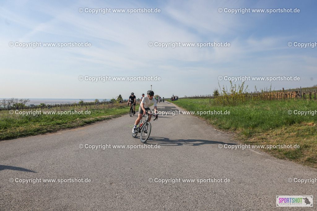 007A8967 | Neusiedlersee Radmarathon #neusiedlerseeradmarathon #neusiedlersee #nrm26 #yourpictrs #sportshot_your_pictrs