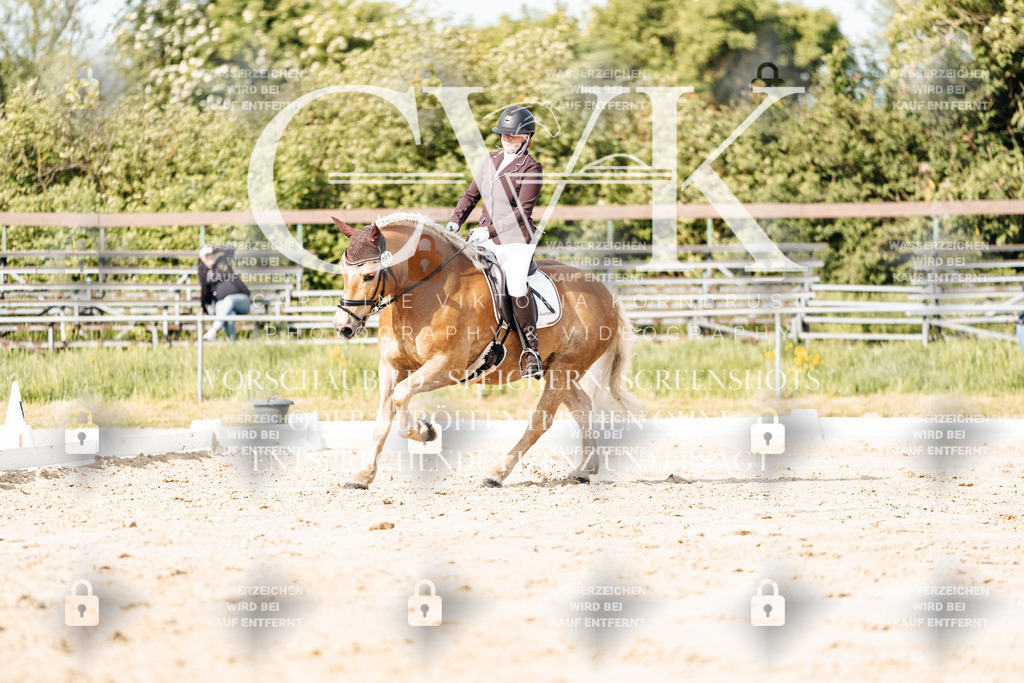 CK900231 | Turnierfotografie Pferdefotografie Trier Rheinland-Pfalz Pferdesport Reitsport Tierfotografie Sportfotografie Pferdevideo Pferdevideografie Equestrianvideography equestrianphotography  - Realisiert mit Pictrs.com