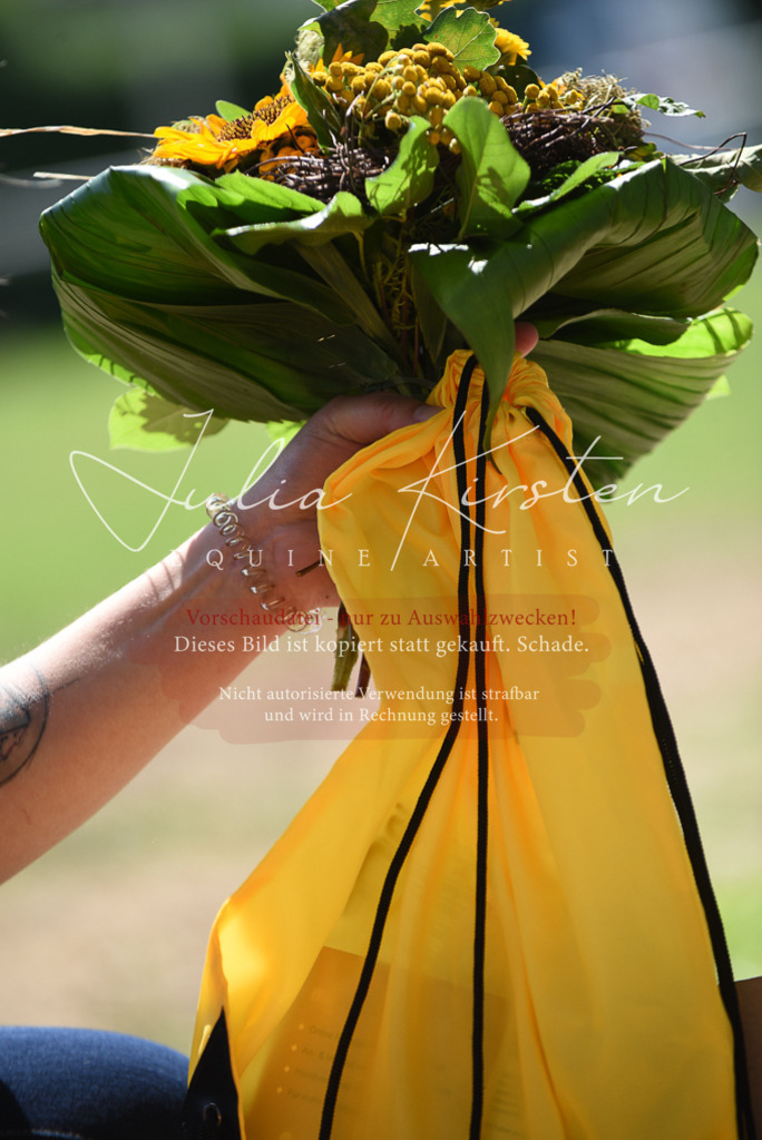 DSC_9876 | Pferde- und Turnierfotografie in Westsachsen. Pferdeportraits, Auftragszeichnungen und intuitive Kunst.