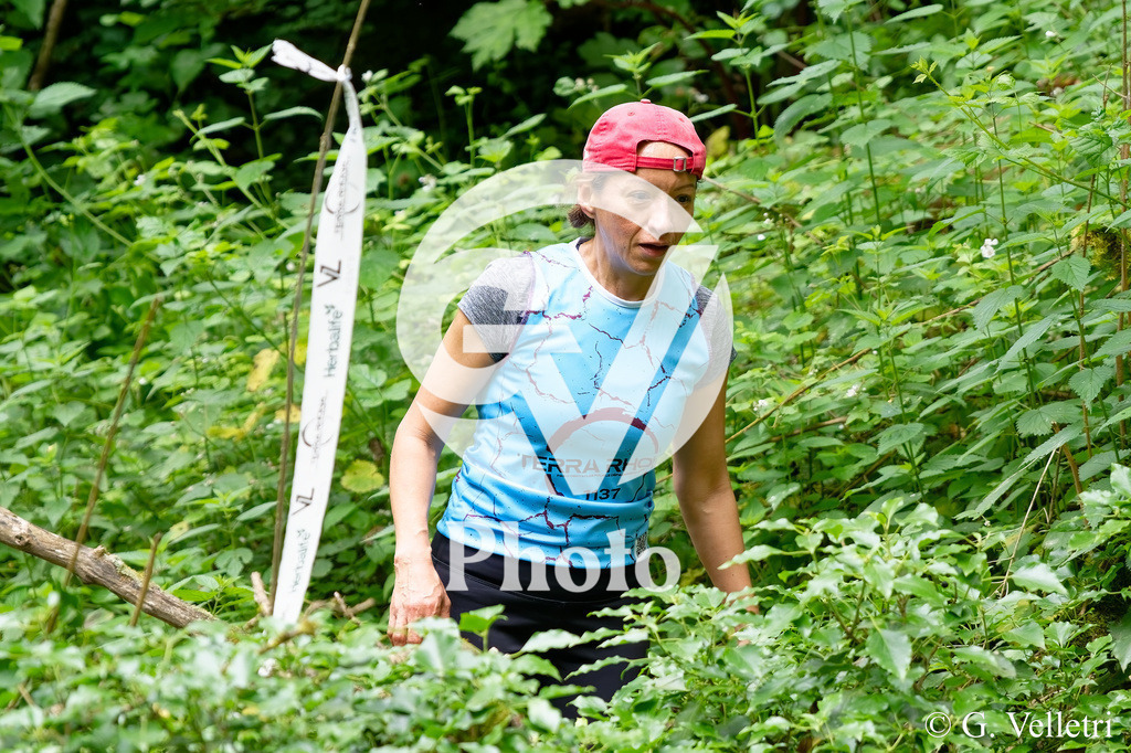 DSC_8195 | Velletri Photo