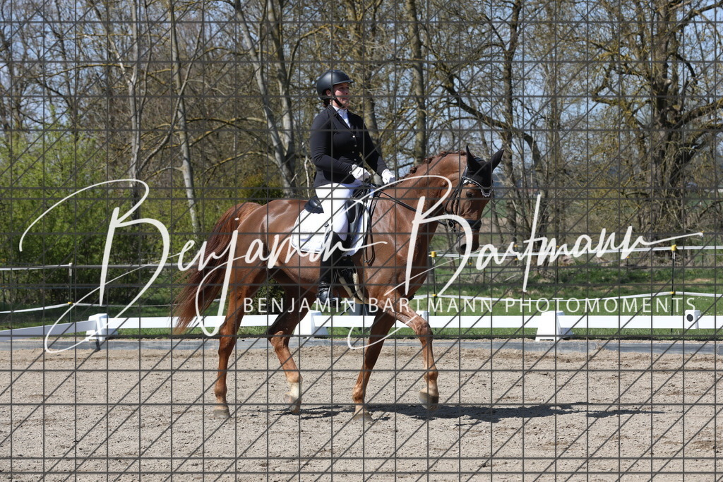 AZ2A5295 | Benjamin Bartmann Photomoments