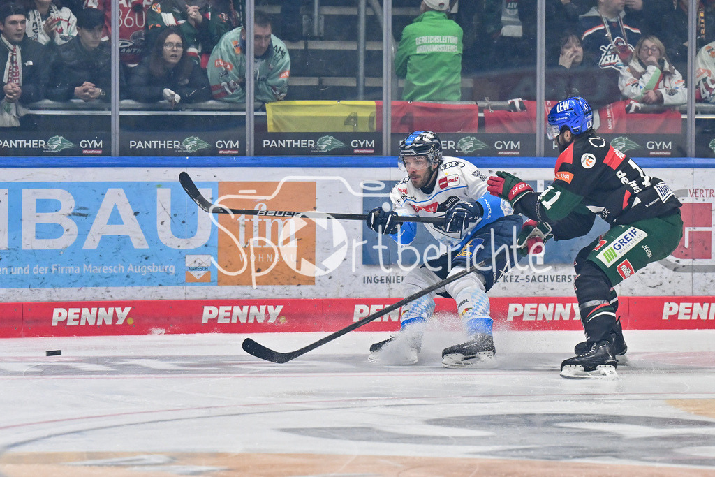 Augsburger Panther - ERC Ingolstadt | im Duell Charles BERTRAND (ERC Ingolstadt #33) und Mick KOEHLER (Augsburger Panther #11) / Zweikampf / DEL: Augsburger Panther - ERC Ingolstadt, Curt Frenzel Stadion am 26.01.2025