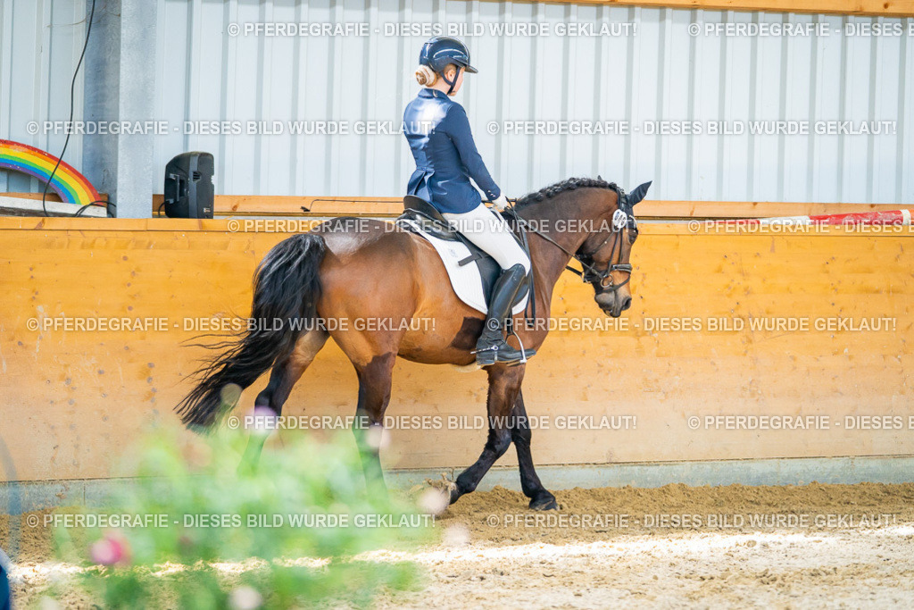 DSC08218 | Pferdegrafie