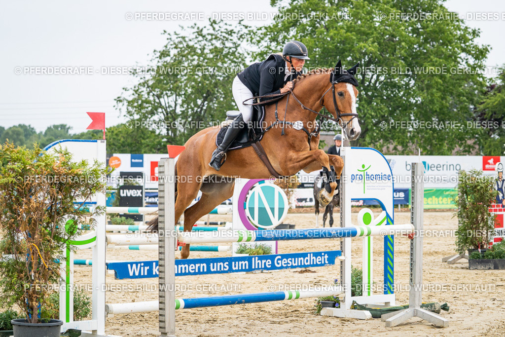 DSC00194 | Pferdegrafie