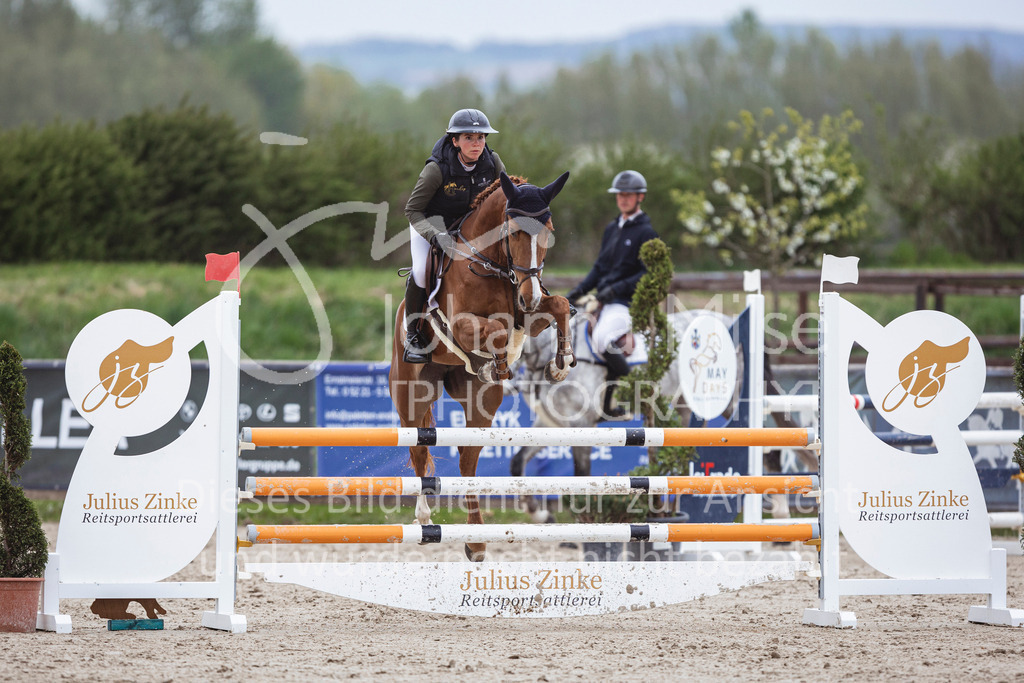 250417_Springpferde-L1-289 | Deine schönsten Turniermomente als professionelle Fotos! Entdecke hochwertige Pferdesport-Fotografie im Online-Shop. Jetzt Fotos finden & bestellen!