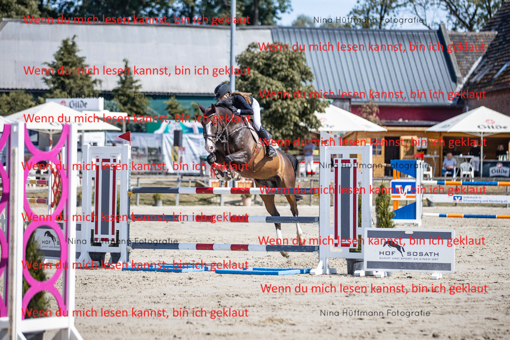 BK1A6932 | Turnierbilder Turnierfotos Nina Hüffmann Turnierfotografie Pferdefotografie Tierzeichnung Haustierzeichnung Pferdezeichnung Hundezeichnung Videograf  - Realisiert mit Pictrs.com