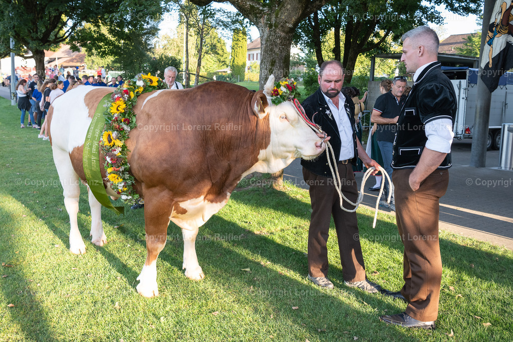 Schwingen -  Unspunnen Empfang 2023 | Wigoltingen, 2.9.23, Schwingen - Unspunnen Empfang.