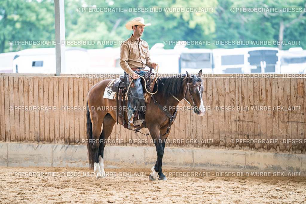 DSC00384 | Pferdegrafie