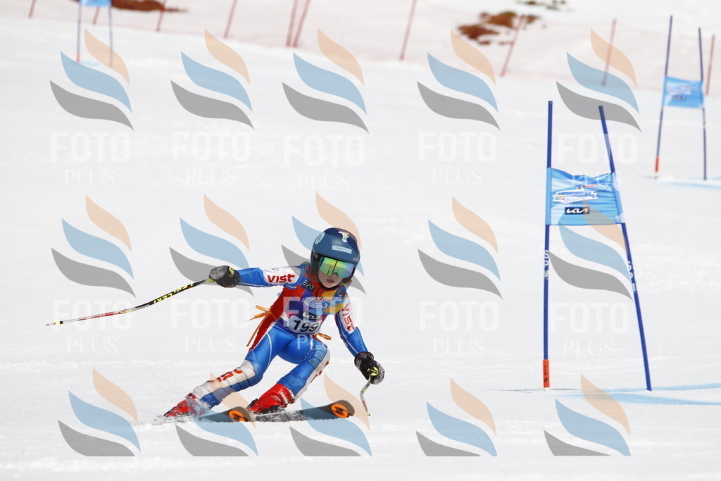 _U3G5182 | holidayphoto