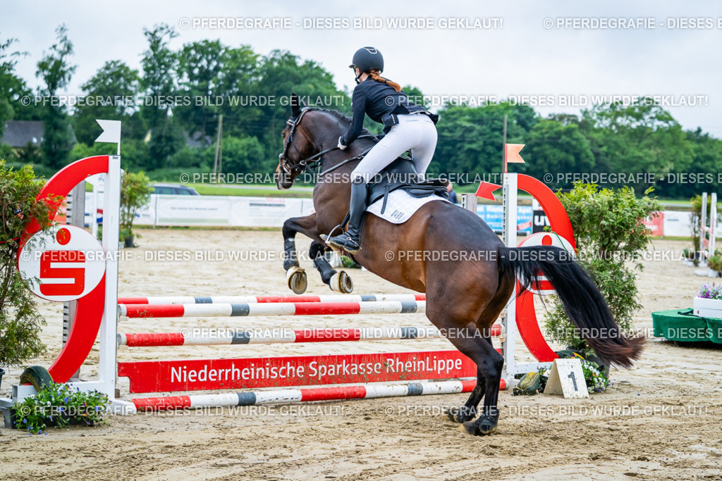 DSC01134 | Pferdegrafie