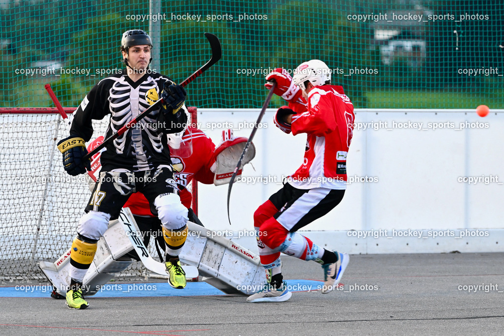 Team Zehenthof vs. HSC Eagles 7.7.2023 | #15 Wuntschek Dominik, #33 Mette Claudio, #6 Sablatnig Tobias