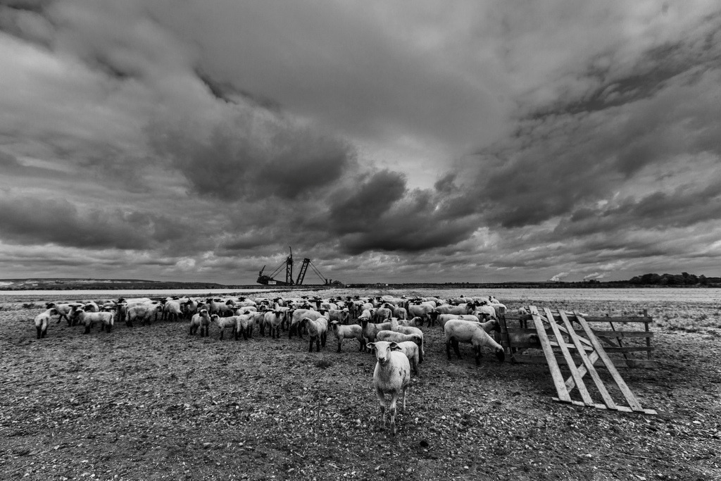 20180827_BL59066 | Braunkohletagebau Hambach, 2018 - Realisiert mit Pictrs.com