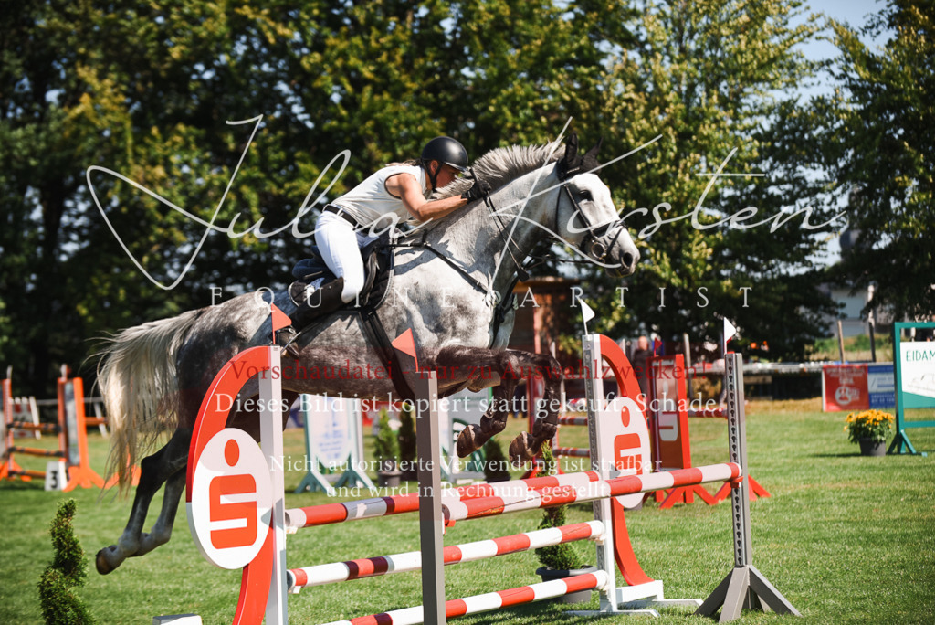 DSC_2739 | Pferde- und Turnierfotografie in Westsachsen. Pferdeportraits, Auftragszeichnungen und intuitive Kunst.
