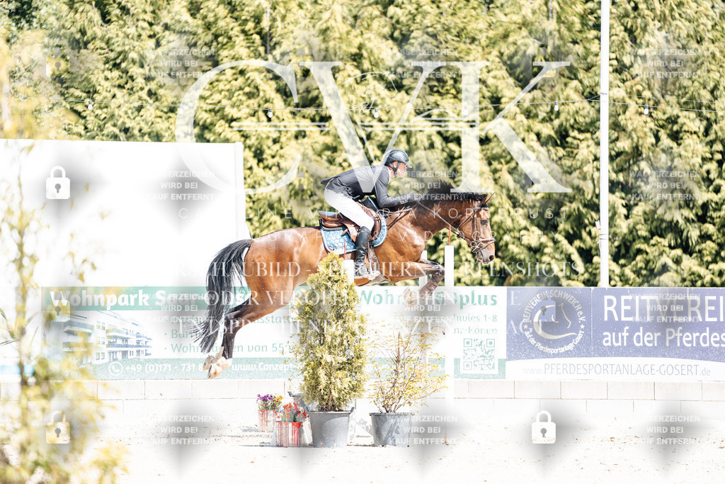 CK900133 | Turnierfotografie Pferdefotografie Trier Rheinland-Pfalz Pferdesport Reitsport Tierfotografie Sportfotografie Pferdevideo Pferdevideografie Equestrianvideography equestrianphotography  - Realisiert mit Pictrs.com