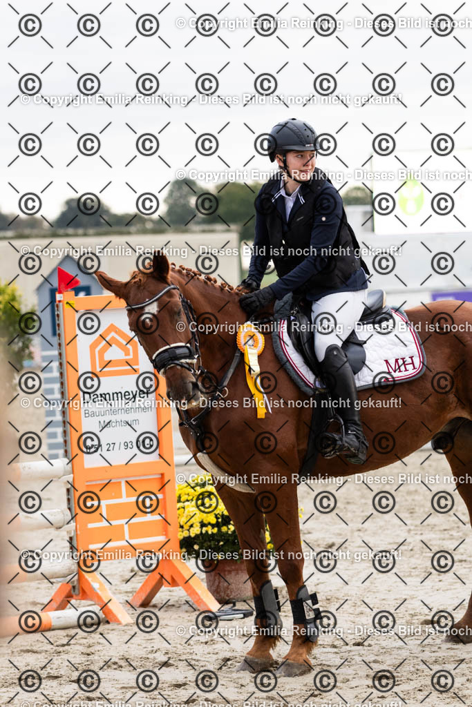 CL5A3150 | Emilia Reinking Fotografie - Realisiert mit Pictrs.com