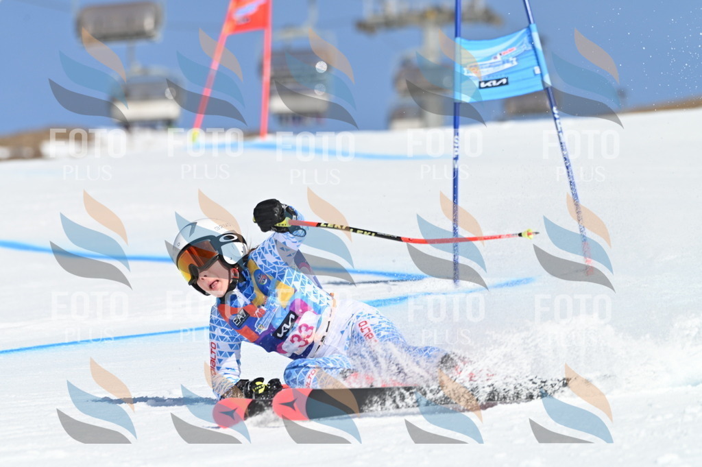 BGV_8205 | holidayphoto