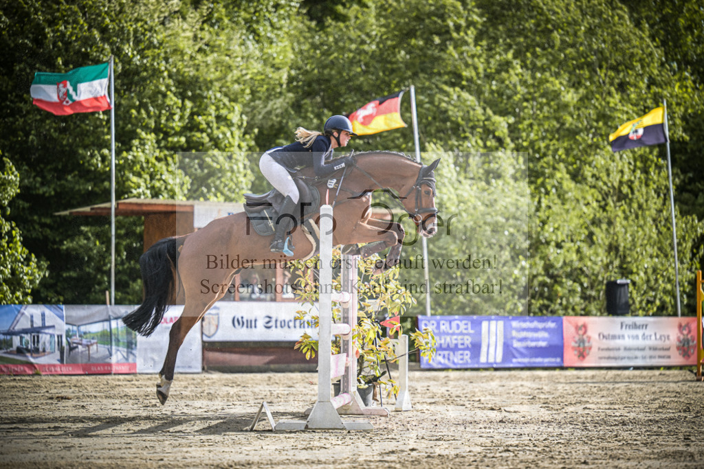 DOS_9986 | Entdecke hochwertige Reitturnierfotos von Foto Oger. Professionell, emotional und authentisch – jetzt Lieblingsmomente im Shop bestellen.Deutschlandweite Turnierfotografie. - Realisiert mit Pictrs.com