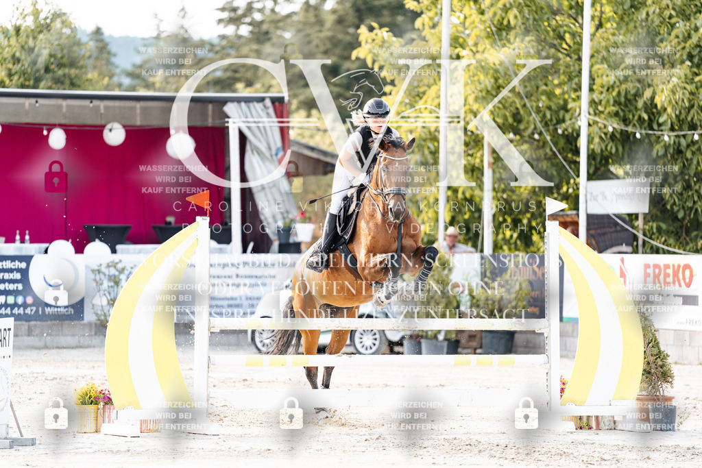 CK906921 | Turnierfotografie Pferdefotografie Trier Rheinland-Pfalz Pferdesport Reitsport Tierfotografie Sportfotografie Pferdevideo Pferdevideografie Equestrianvideography equestrianphotography  - Realisiert mit Pictrs.com