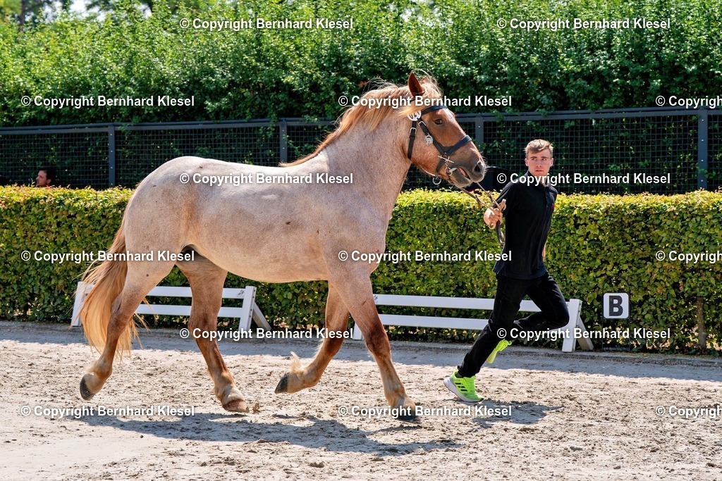 2A900570 | foto-team-bernhard - Realisiert mit Pictrs.com