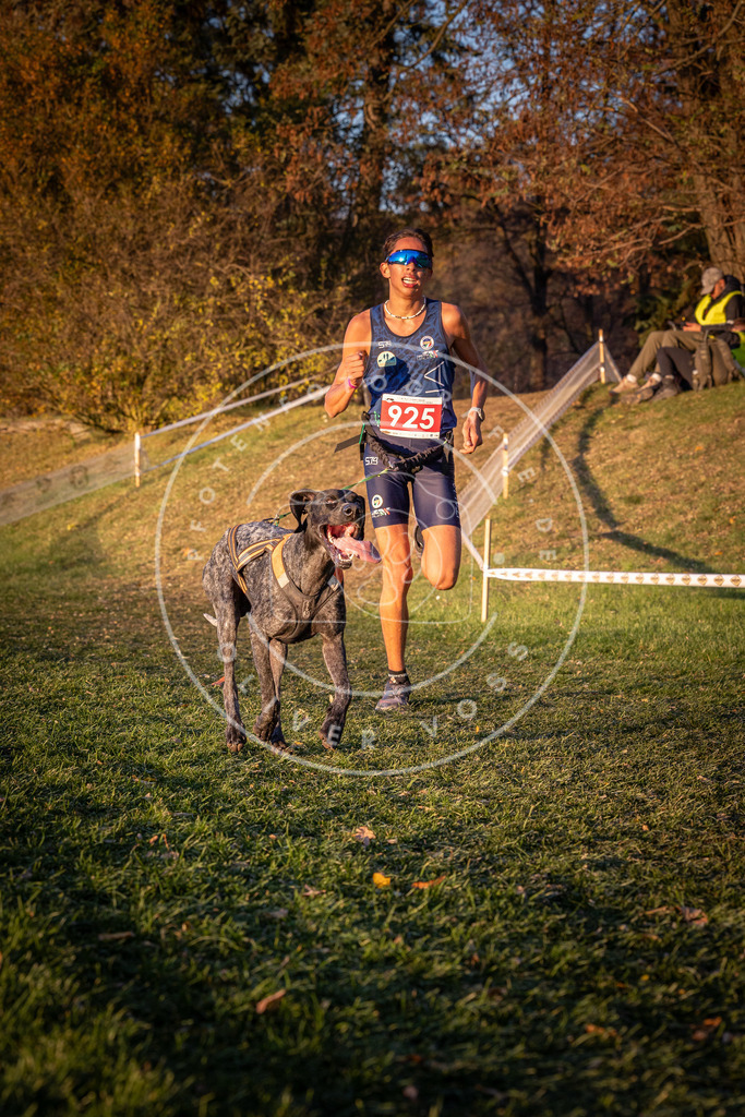 CaniXpix_0L8A1645 | Hundefotografie, Tierfotograf, Pfotenfotografie, Fotoshooting Hund, Hunde Portrait, Hundesport, Hundeportraits, Heideshooting, Hunde, Sportfotograf, Hundefotograf, Turnierhundsport, THS,  - Realisiert mit Pictrs.com
