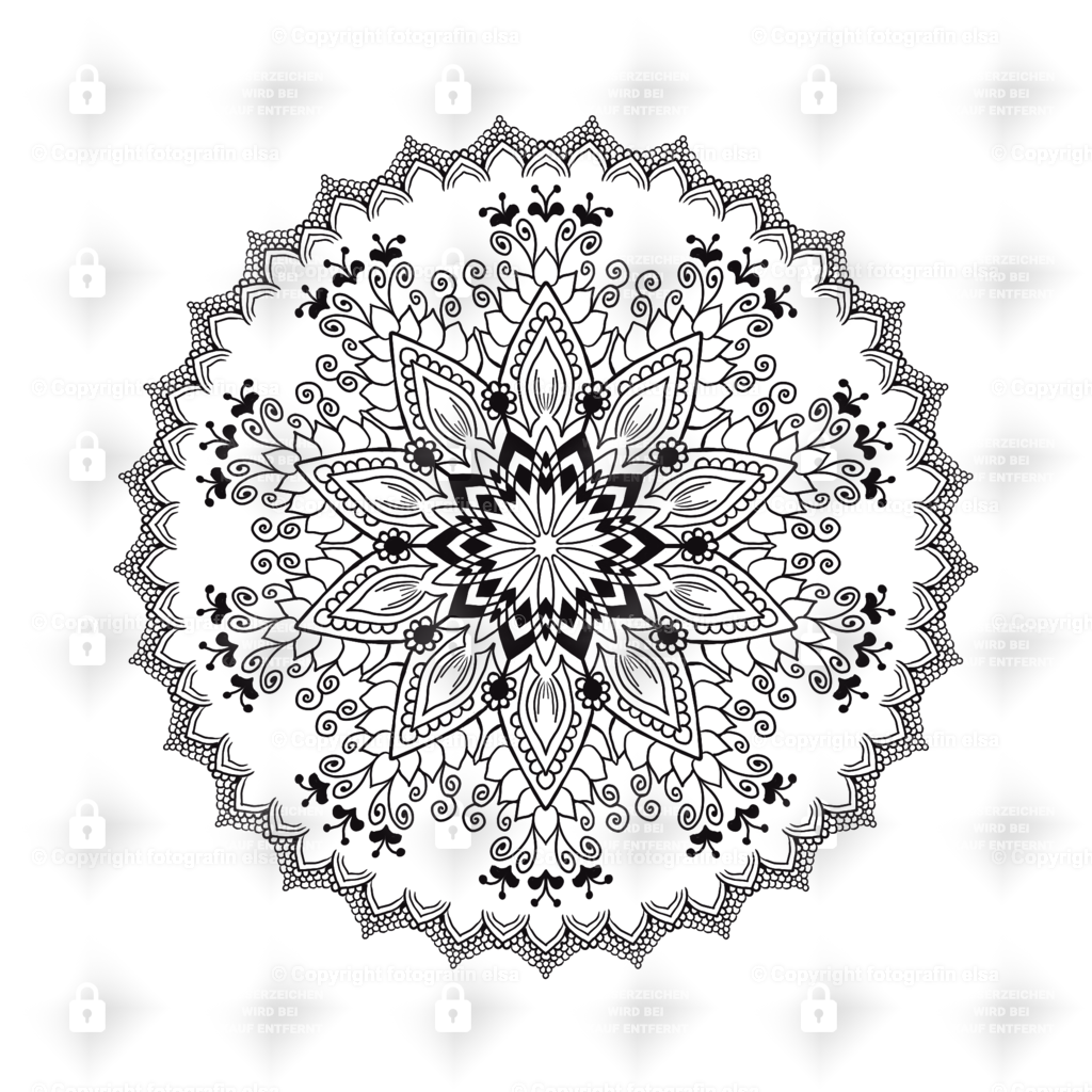 64Seite | fotografinelsa