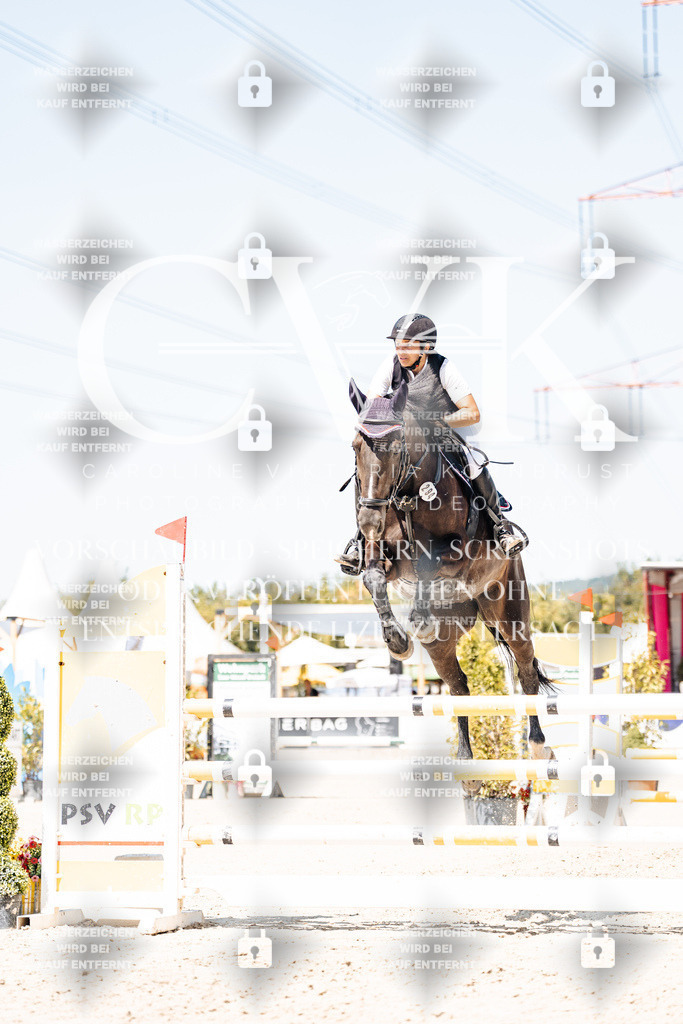 CK909733 | Turnierfotografie Pferdefotografie Trier Rheinland-Pfalz Pferdesport Reitsport Tierfotografie Sportfotografie Pferdevideo Pferdevideografie Equestrianvideography equestrianphotography  - Realisiert mit Pictrs.com