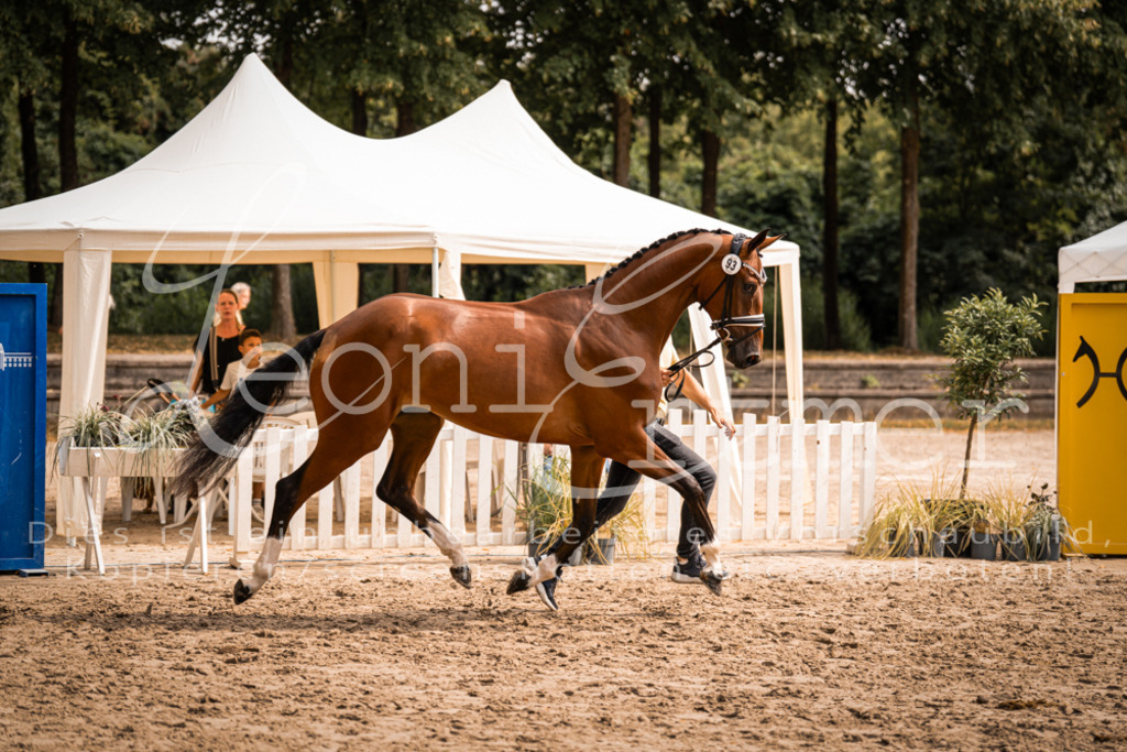 6.Fr00109 | Leoni Ertmer Photography - Realisiert mit Pictrs.com