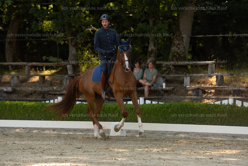 WA_DR_7_SinaFilmArt_IN01015 | working equitationturnier fotograf videograf stoibphotography marixx film working equitation deutschland reitsport turnierfotografie eventfotografie equestrian events