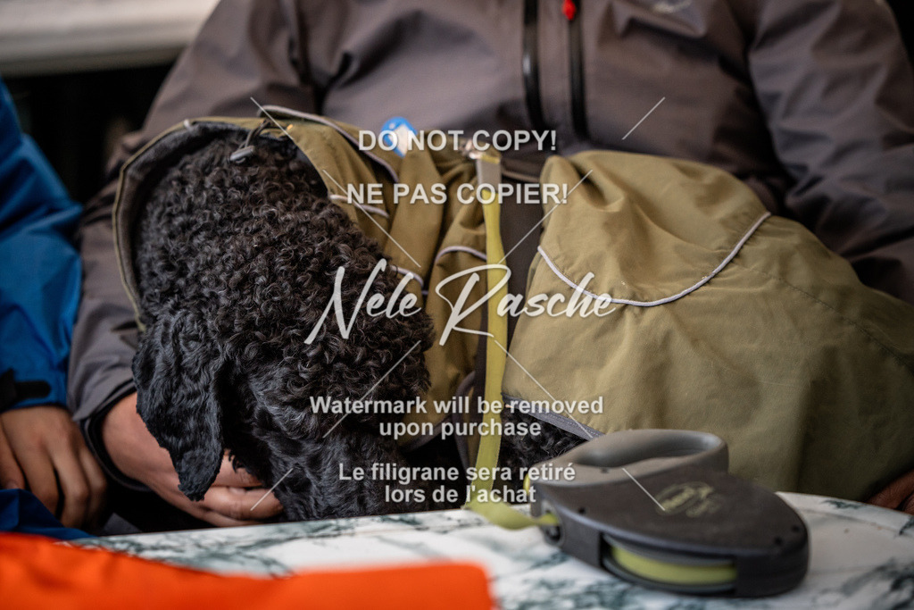 nelerasche_SaAbends_359 | nelerasche