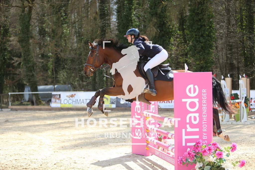 DL2Q9178 | Willkommen bei Brunnmayr - Design & Fotografie – Ihrem Spezialisten für Reitturniere und Pferdeveranstaltungen in Oberösterreich, Salzburg und Bayern! Seit über 17 Jahren sind wir leidenschaftlich dabei.