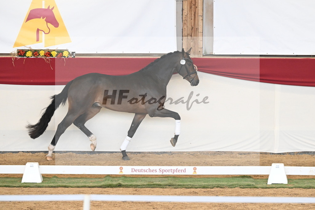 Kat.-Nr. 88 v. Zackerey_Rakelbusch_3261317 | hf-fotografie - Realizzato con Pictrs.com