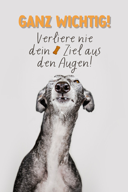 Nico hat 'ne wichtige Info | "Ganz wichtig! Verliere nie dein Ziel aus den Augen!"