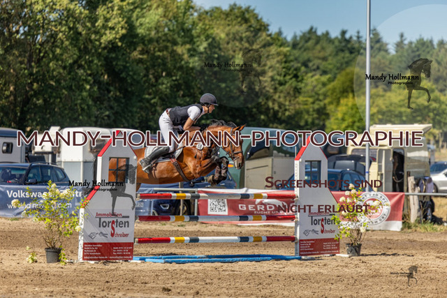 26-8-9 SPR L-198 | mandyhollmannphotographie