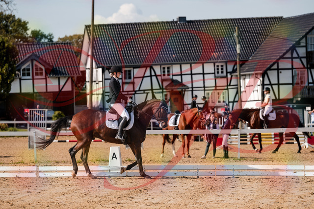2026_10_03_Siefer-Hof_125534_Z63_62108410 | Professionelle Reitsport-, Turnier- und Eventfotografie von Robert Broda. Galerien mit ausgewählten und bearbeiteten Bildern direkt online ansehen und bestellen.