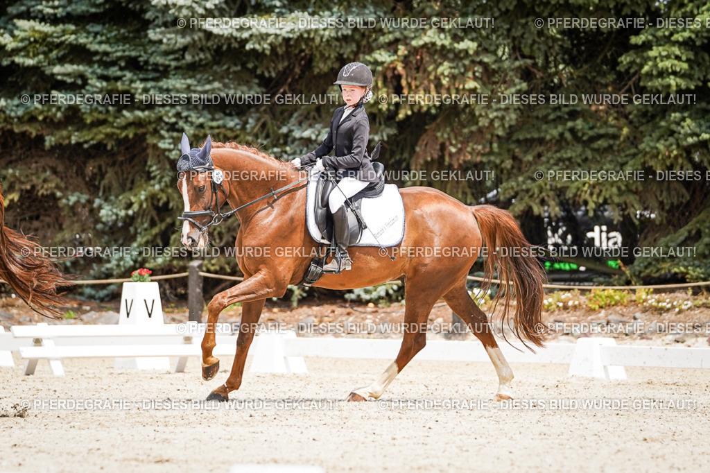 DSC03406 | Pferdegrafie