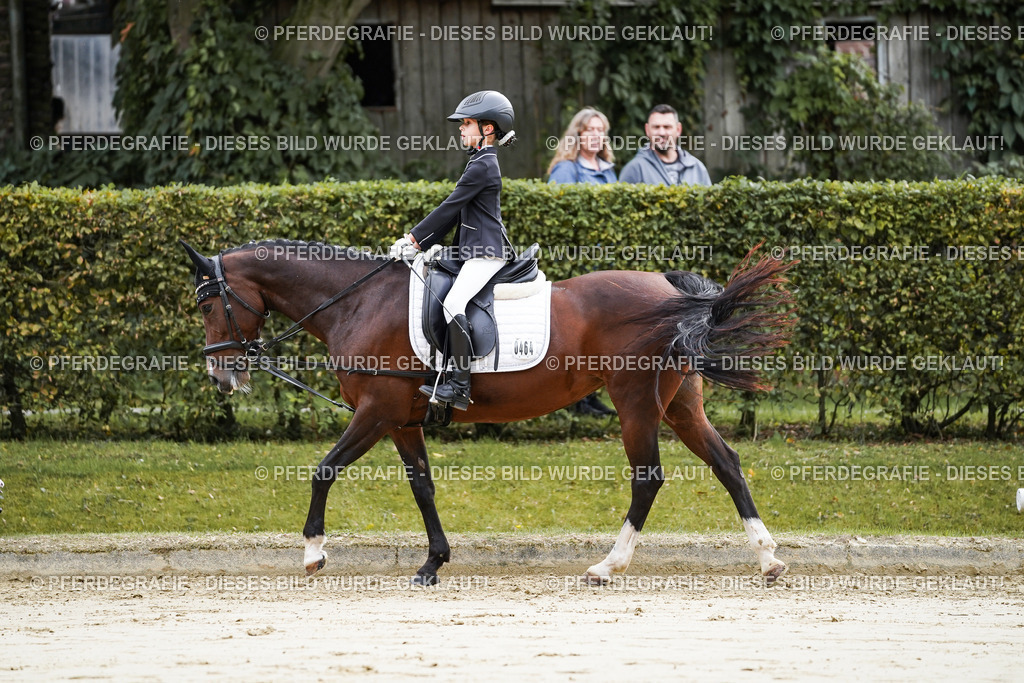 DSC05082 | Pferdegrafie