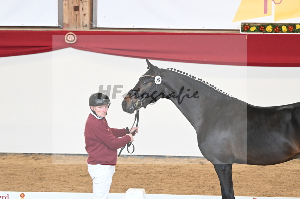 Kat.-Nr. 75 v. Santos_Greim_2250829 | hf-fotografie - Realisiert mit Pictrs.com