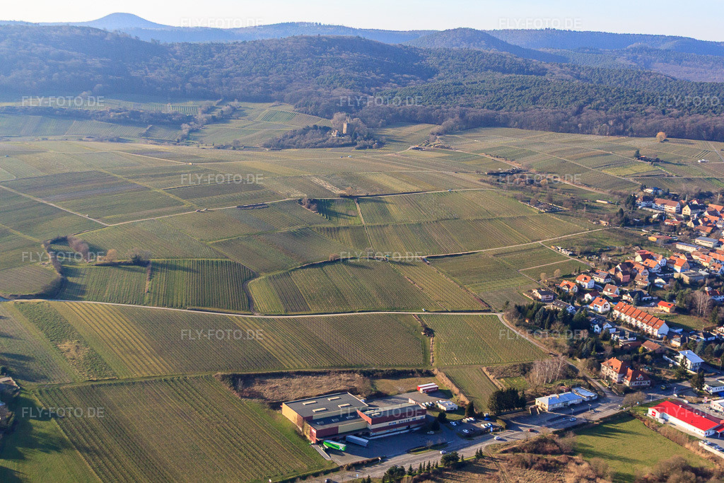 Luftbild: Weinlage Sonnenberg aus Südosten im Ortsteil Schweigen in Schweigen-Rechtenbach im Bundesland Rheinland-Pfalz in Deutschland. Foto: IMG_62325.jpg vom 24.02.2014 durch Werner Riehm/FLY-FOTO.deAuflösung des Originals: 4752 x 3168 px
