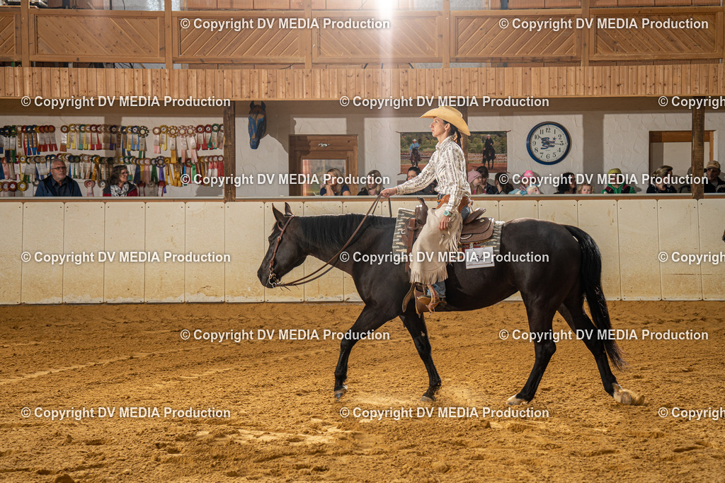 MIT00913 | dv-media-shop - Realisiert mit Pictrs.com