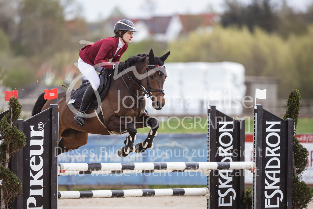 250419_Frühlingsfest_Stil-A2-1-501 | Deine schönsten Turniermomente als professionelle Fotos! Entdecke hochwertige Pferdesport-Fotografie im Online-Shop. Jetzt Fotos finden & bestellen!