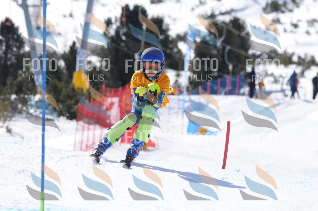 C8937 | holidayphoto